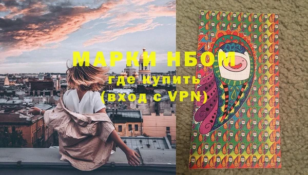 твердый Магас