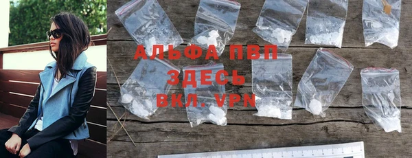 твердый Магас