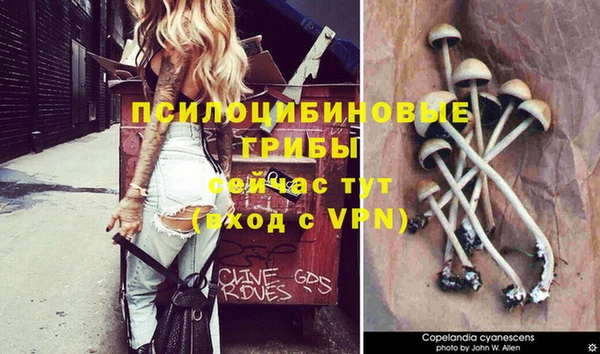 меф Майский