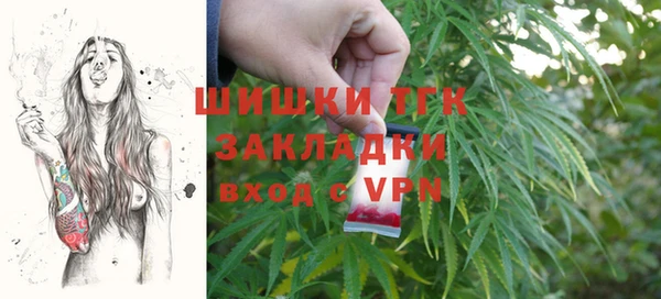 твердый Магас