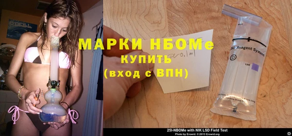 твердый Магас