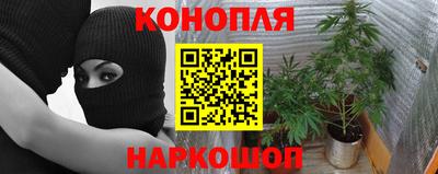 прущие крисы Балашиха