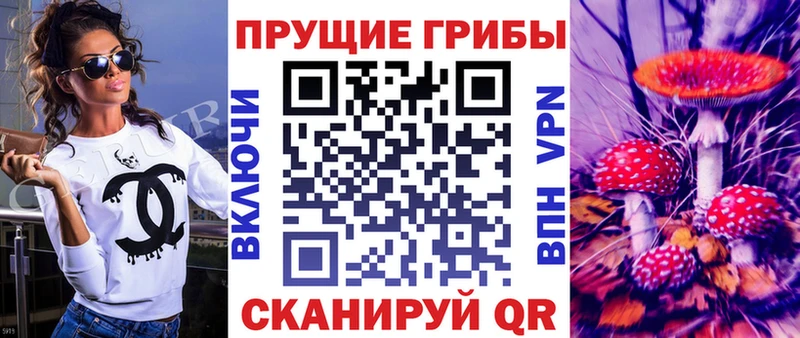 Галлюциногенные грибы Psilocybine cubensis  Урай 