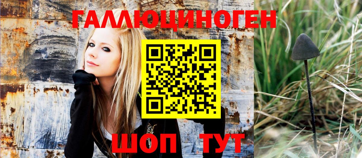 Псилоцибиновые грибы мицелий Урай